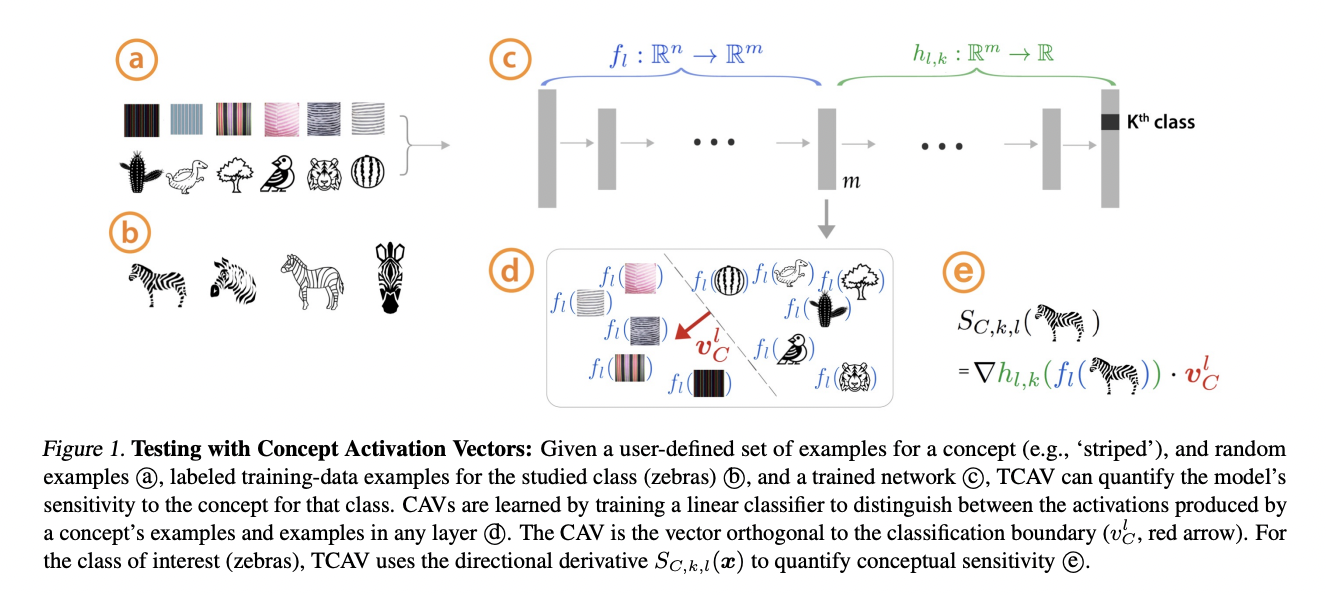 concept vectors